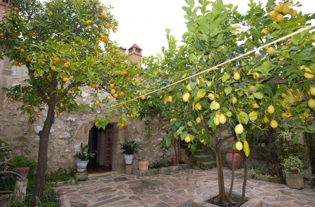 Fotos de Casa del Conde