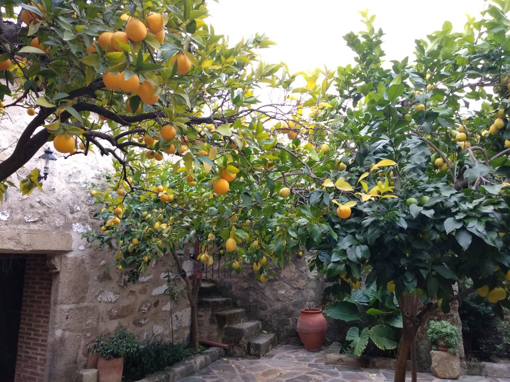 Rural Home in Trujillo