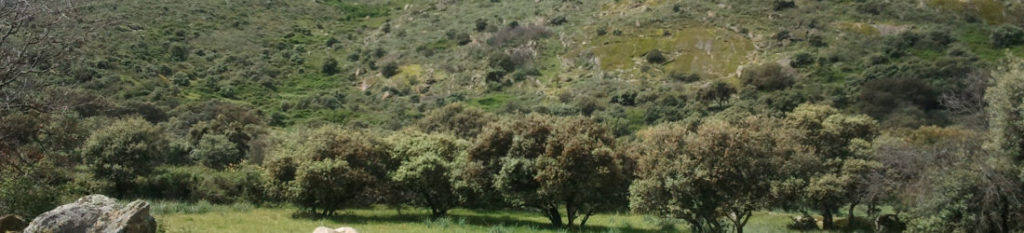 Rural Home in Trujillo