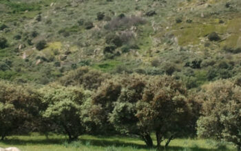 Rural-House-in-Trujillo- Rural-House-in-Trujillo-