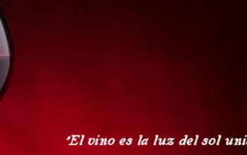 Vamos-de-vinos Vamos-de-vinos