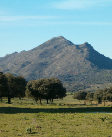 Dehesa y Sierra Dehesa y Sierra
